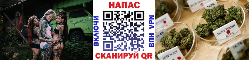 Бошки Шишки Ganja  Сарапул 
